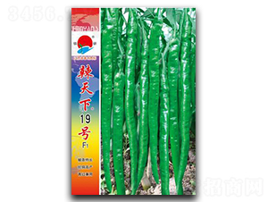 ������19̖-�����N��-�(zh��n)�зN�I(y��)