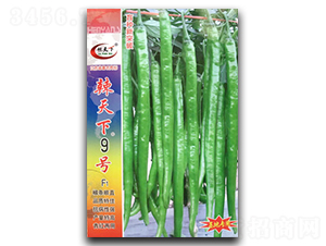 ������9̖-�����N��-�(zh��n)�зN�I(y��)