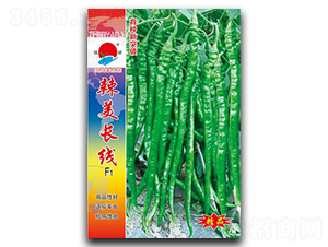 �����L��-�����N��-�(zh��n)�зN�I(y��)