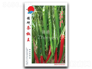 �(zh��n)�Зl����-�����N��-�(zh��n)�зN�I(y��)