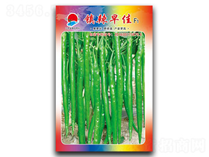 �(zh��n)�����-�����N��-�(zh��n)�зN�I(y��)