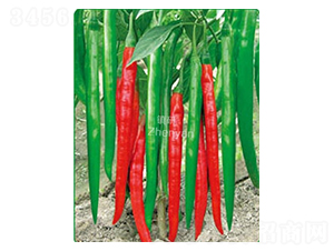 �(zh��n)��һ̖-�����N��-�(zh��n)�зN�I(y��)