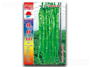 �(zh��n)��60-�����N��-�(zh��n)�зN�I(y��)