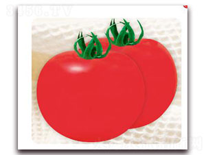 �I��JF-10-���ѷN��-�ȃ�(y��u)�_