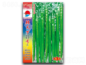 ������23̖-�����N��-�(zh��n)�зN�I(y��)