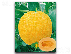 ��(y��u)�ی�-��ϷN��-�ȃ�(y��u)�_