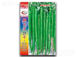 ������28̖(h��o)-�����N��-�(zh��n)�зN�I(y��)