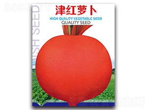 ��t�}��-�}���N��-�ȃ�(y��u)�_(d��)