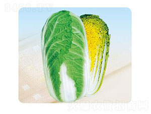 ����1̖(h��o)-�ײ˷N��-�ȃ�(y��u)�_(d��)