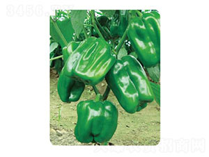 ���-�����N��-�ȃ�(y��u)�_(d��)