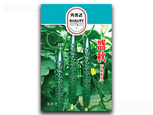 ʢ��-�S�ϷN��-�ȃ�(y��u)�_(d��)