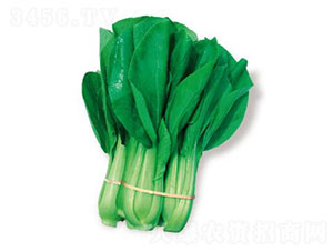 ����-��˷N��-�ȃ�(y��u)�_