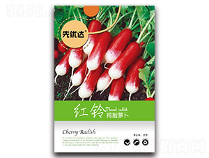 �t�-�}���N��-�ȃ�(y��u)�_(d��)