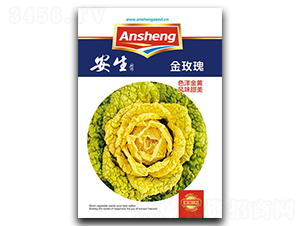 ��õ��-��˷N��-����