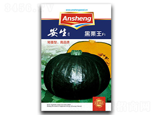 ������-�ϹϷN��-����