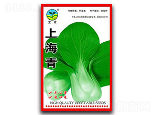 �Ϻ���-�๣�˷N��-����