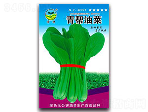 �����Ͳ�-�๣�˷N��-����