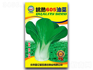 ����605�Ͳ�-�๣�˷N��-����