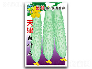 �������~-�S�ϷN��-����