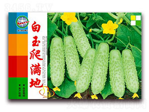 �������M��-�S�ϷN��-����