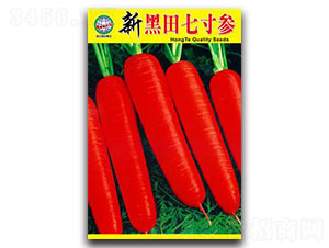 �º����ߴ煢-�}���N��-����