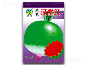 �����M�üt-�}���N��-����