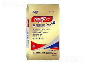 �p�ᵪ��-�����-׿��