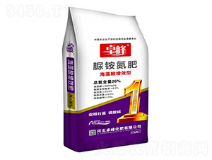 ���@����-׿��