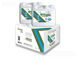 ����_ʩ��-ꖹ�ʘI(y��)