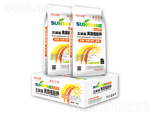 �������S��ֲ���-ꖹ�ʘI(y��)