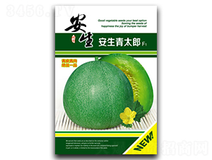 ������̫��-��ϷN��-����