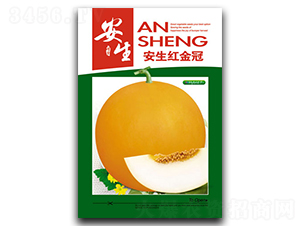 �����t���-��ϷN��-����