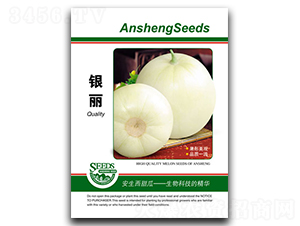 �y��-��ϷN��-����