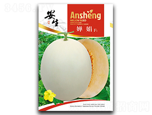 �Ⱦ�-��ϷN��-����