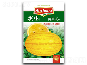 �S����-���ϷN��-����