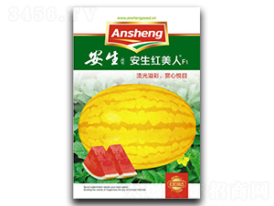 �����t����-���ϷN��-����