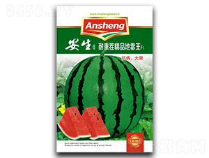 ���ز羫Ʒ������-���ϷN��-����