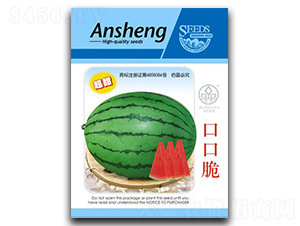 �ڿڴ�-���ϷN��-����