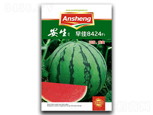 ���8424-���ϷN��-����