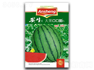 ����ڿڴ�-���ϷN��-����