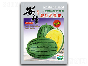 �������S��-���ϷN��-����