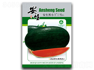 ������СѾ��̖-���ϷN��-����