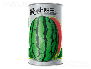 ��������-���ϷN��-����