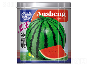 �������Ǵ�-���ϷN��-����