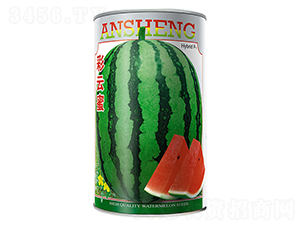 ������-���ϷN��-����