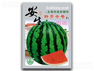 ������̖-���ϷN��-����