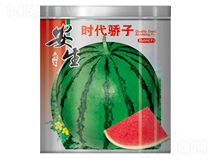 �r�����-���ϷN��-����