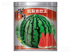 ���Ѿ�����-���ϷN��-����