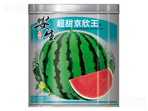 ��������-���ϷN��-����