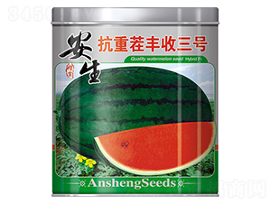 ���ز��S����̖-���ϷN��-����